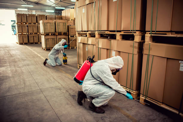 Best Emergency Pest Control  in Cornersville, TN