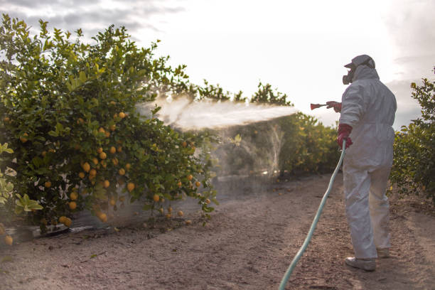 Best Exterminator Services  in Cornersville, TN