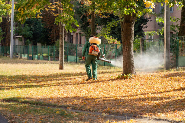 Best Pest Inspection Near Me  in Cornersville, TN