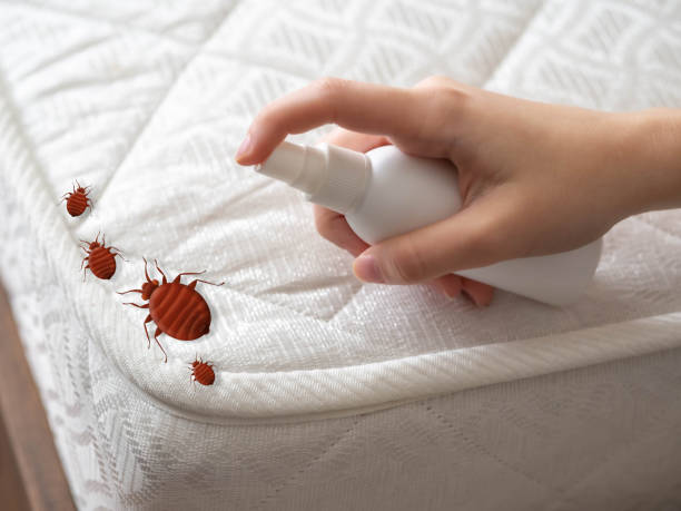 Reliable Cornersville, TN Pest Control Solutions