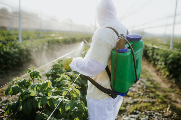 Best Pest Removal Services  in Cornersville, TN